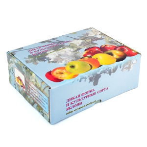 Набор муляжей "Дикая форма и культурные сорта яблок" - fgospostavki.ru - Радужный