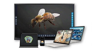 Интерактивное наглядное 3D пособие «Познание: Пчеловодство» - fgospostavki.ru - Радужный