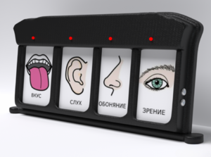 Игровой-сканер коммуникатор 4-вариантный - fgospostavki.ru - Радужный