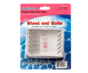 Набор микропрепаратов для микроскопа №1 «Человек» - fgospostavki.ru - Радужный