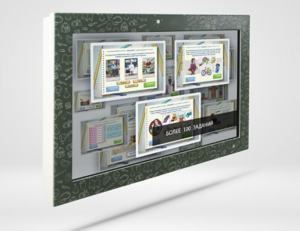 Интерактивный комплекс "Финансовая грамотность для Школ" (с диагональю 55) - fgospostavki.ru - Радужный