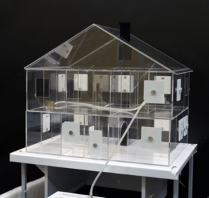 Лабораторная установка для исследования распространения дыма в жилых помещениях - fgospostavki.ru - Радужный