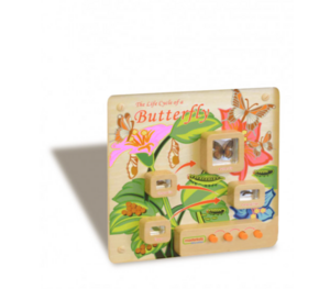 Панель «Жизненный цикл бабочки» - fgospostavki.ru - Радужный