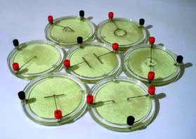 Демонстрационный комплект «Силовые линии электрического поля разных систем зарядов» - fgospostavki.ru - Радужный