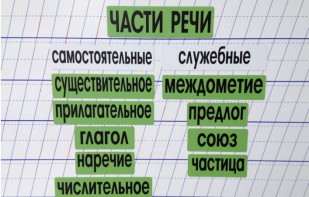 Набор магнитных карточек "Части речи" (фон зелёный) - fgospostavki.ru - Радужный