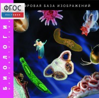 Биология. Микрофотографии. (Цифровая база изображений) - fgospostavki.ru - Радужный
