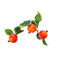 Ветка муляжей "Гранат" - fgospostavki.ru - Радужный