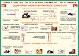 Таблица "Общий порядок оказания первой помощи пострадавшим" (100х140 сантиметров, винил) - fgospostavki.ru - Радужный