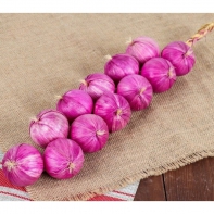 Муляжи "Связка лука" - fgospostavki.ru - Радужный