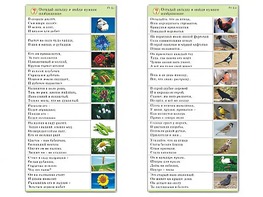 Комплект карточек (10) "Обучающий калейдоскоп. Природа" - fgospostavki.ru - Радужный