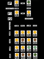 Модель-аппликация "Дигибридное скрещивание" (ламинированная) - fgospostavki.ru - Радужный