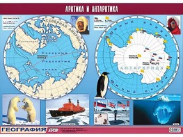 Таблица демонстрационная "Арктика и Антарктика" (винил 100*140) - fgospostavki.ru - Радужный