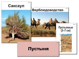 Модель-аппликация "Природные зоны России" (ламинированная) - fgospostavki.ru - Радужный
