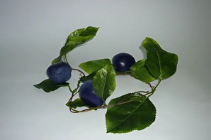 Ветка муляжей "Слива" - fgospostavki.ru - Радужный