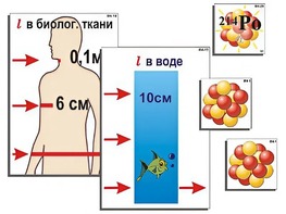 Модель-аппликация "Явление радиоактивности" (ламинированная) - fgospostavki.ru - Радужный