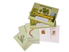 Гербарий "Основные группы растений. Грибы. Лишайники" (53 листа, с иллюстрациями и фотографиями) - fgospostavki.ru - Радужный