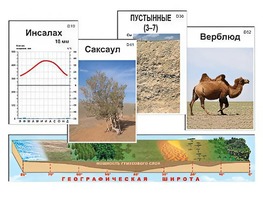 Модель-аппликация "Природные зоны" - fgospostavki.ru - Радужный