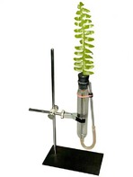 Прибор для демонстрации всасывания воды корнями - fgospostavki.ru - Радужный