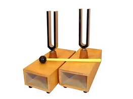 Камертоны на резонансных ящиках (пара) - fgospostavki.ru - Радужный