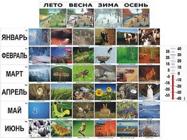 Фенологические наблюдения - fgospostavki.ru - Радужный