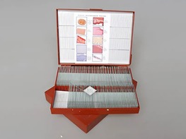 Комплект микропрепаратов "Анатомия" - fgospostavki.ru - Радужный