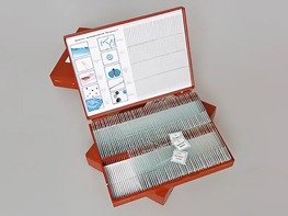 Комплект микропрепаратов "Ботаника 1" - fgospostavki.ru - Радужный