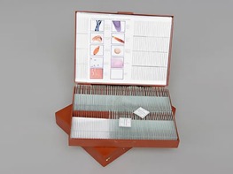 Комплект микропрепаратов "Общая биология" - fgospostavki.ru - Радужный