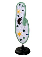 Модель инфузории-туфельки - fgospostavki.ru - Радужный