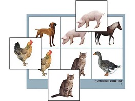 Логопедическое лото "Домашние животные" (4 планшета, 24 карточки, цветное, ламинированное) - fgospostavki.ru - Радужный