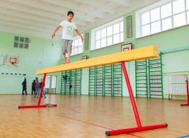 Бревно гимнастическое напольное постоянной высоты (700 мм) (5 м) - fgospostavki.ru - Радужный