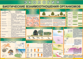 Таблица "Биотические взаимоотношения организмов" (100х140 сантиметров, винил) - fgospostavki.ru - Радужный