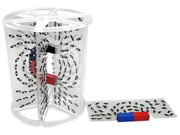 Модель для демонстрации в объеме линий магнитного поля - fgospostavki.ru - Радужный