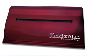 Принтер для печати рельефно-точечным шрифтом Брайля Trident - fgospostavki.ru - Радужный