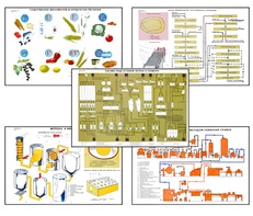 Плакаты ПРОФТЕХ "Сырье и материалы хлебопекарного производства" (20 пл, винил, 70х100) - fgospostavki.ru - Радужный