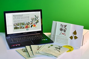 Гербарий натурально-интерактивный "Деревья и кустарники" - fgospostavki.ru - Радужный