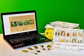 Коллекция натурально-интерактивная "Плоды сельскохозяйственных растений" - fgospostavki.ru - Радужный