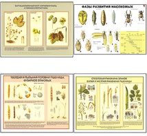 Плакаты ПРОФТЕХ "Вредители и болезни с/х культур и меры борьбы с ними" (11 пл, винил, 70х100) - fgospostavki.ru - Радужный