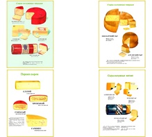 Плакаты ПРОФТЕХ "Ассортимент сыров" (9 пл, винил, 70х100) - fgospostavki.ru - Радужный