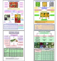 Плакаты ПРОФТЕХ "Классификация овощей" (11 пл, винил, 70х100) - fgospostavki.ru - Радужный