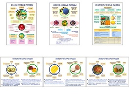 Плакаты ПРОФТЕХ "Плоды" (6 пл, винил, 70х100) - fgospostavki.ru - Радужный