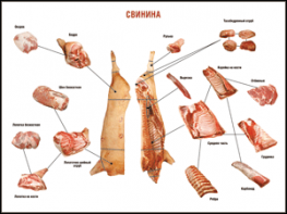 Таблица "Правила разделки мясных туш. Свинина" (100х140 сантиметров. винил) - fgospostavki.ru - Радужный
