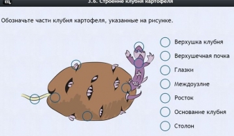 Интерактивные курсы. Биология 6 класс. Расширенный - fgospostavki.ru - Радужный