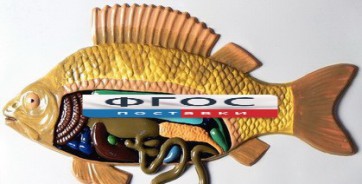 Модель барельефная "Внутреннее строение рыбы" - fgospostavki.ru - Радужный