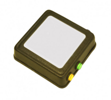 Говорящий магнит - fgospostavki.ru - Радужный