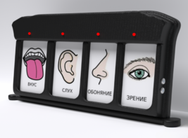 Игровой-сканер коммуникатор 4-вариантный - fgospostavki.ru - Радужный