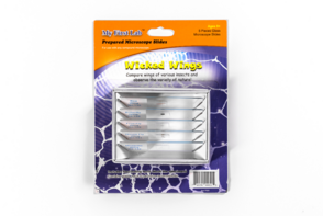 Набор микропрепаратов для микроскопа №5 «Насекомые» - fgospostavki.ru - Радужный