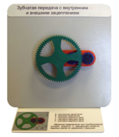 Демонстрационная модель "Зубчатая передача с внутренним и внешним зацеплением" - fgospostavki.ru - Радужный