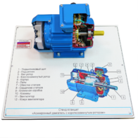 Стенд-планшет «Асинхронный двигатель с короткозамкнутым ротором» - fgospostavki.ru - Радужный