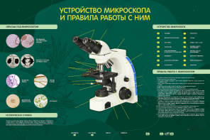 Электрифицированный стенд "Устройство микроскопа и правила работы c ним" - fgospostavki.ru - Радужный