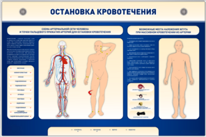 Электрифицированный стенд-тренажер "Остановка кровотечения" - fgospostavki.ru - Радужный